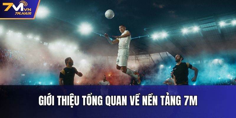Giới thiệu tổng quan về nền tảng 7M