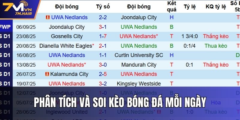 Phân tích và soi kèo bóng đá mỗi ngày